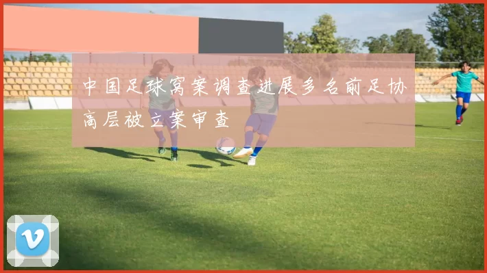 中国足球窝案调查进展多名前足协高层被立案审查