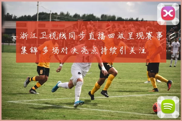 浙江卫视线同步直播回放呈现赛事集锦 多场对决亮点持续引关注