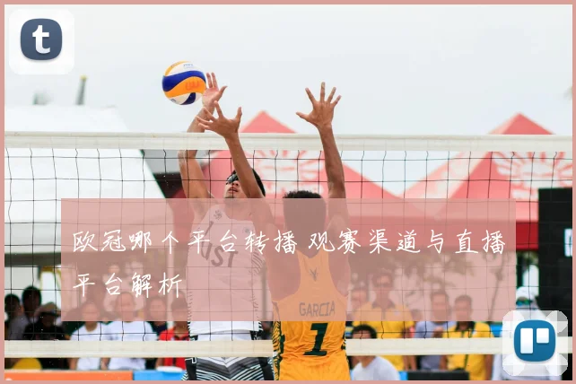 欧冠哪个平台转播 观赛渠道与直播平台解析